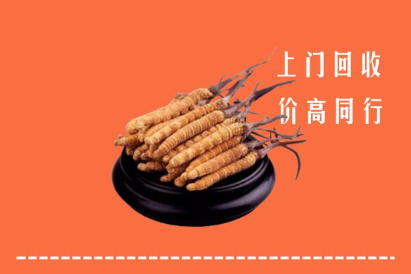 高价求购：安乡县回收散虫草
