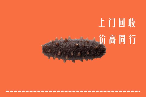 安乡县回收海参
